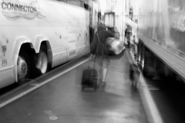 Photo of a man and a dog boarding a bus on a ferry