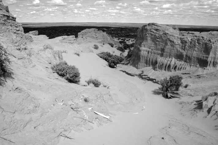 Picture of bones emerging from the soil at Mungo